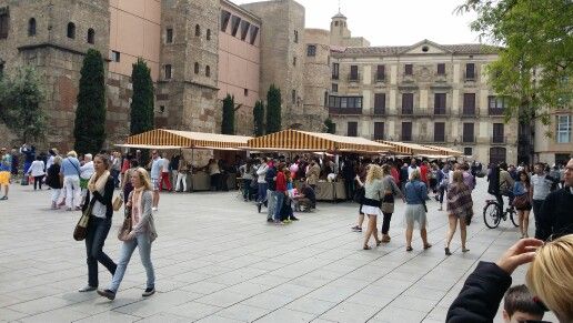 40e001862d13590016a785e4c7c4a7b7